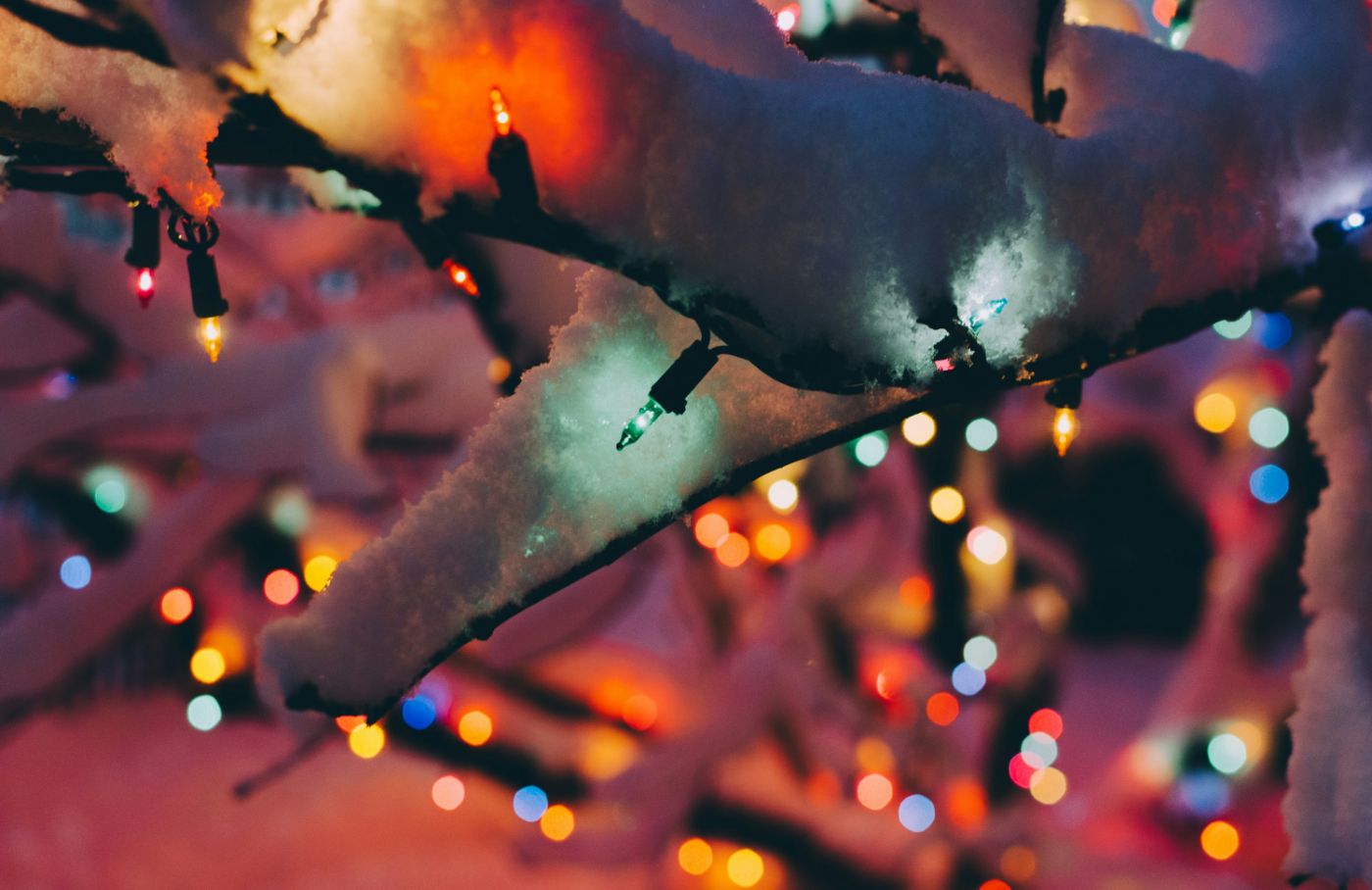 Christmas and New Year 2026 in the Yukon: Where to Stay and How to Book Early